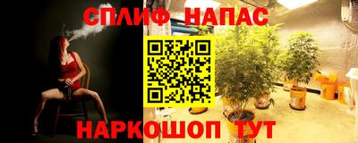 прущие грибы Краснознаменск