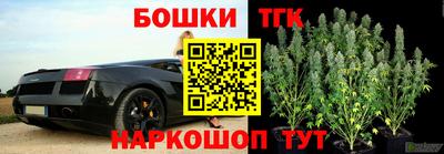 прущие грибы Краснознаменск