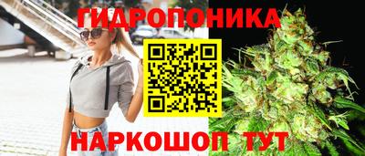 Альфа ПВП Краснодар