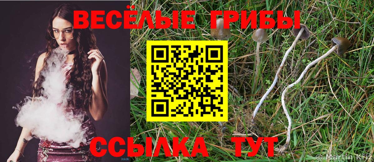 Галлюциногенные грибы GOLDEN TEACHER  Вход с VPN  Кашира  Галлюциногенные грибы прущие грибы 