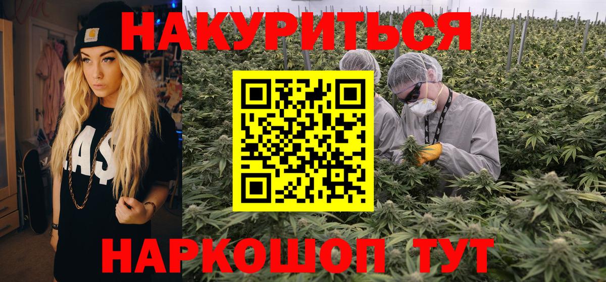 Кашира  Бошки марихуана планчик  Вход с VPN  Шишки марихуана гибрид  Марихуана LSD WEED 